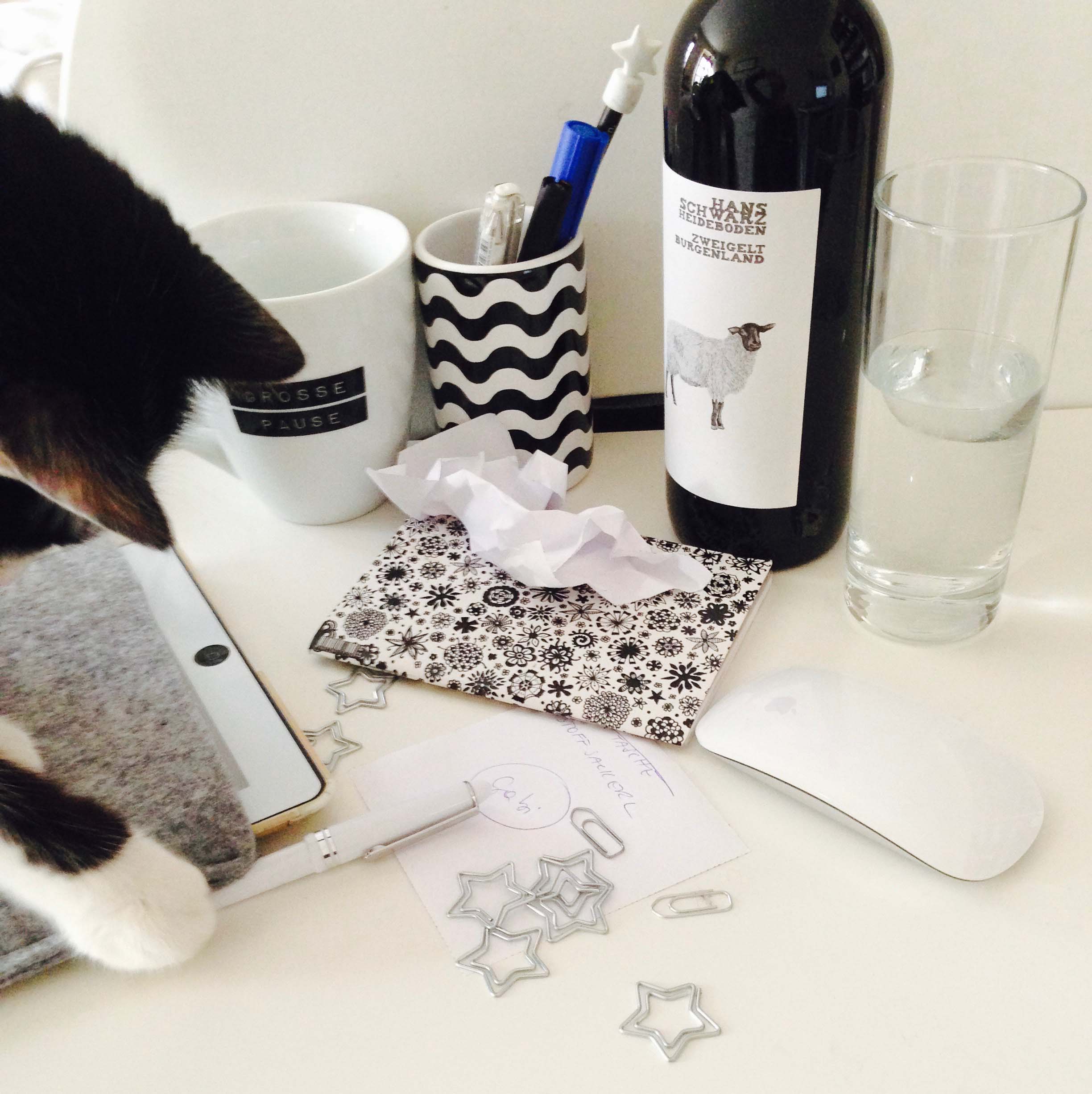 Brainstorming mit Katze - Foto: Katharina Rotschne