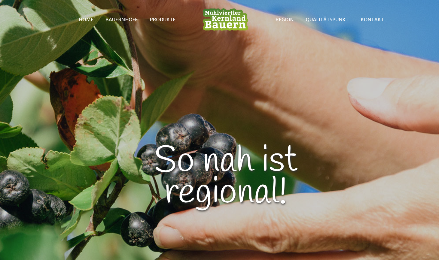 www.kernlandbauern.at_screen
